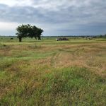 DreamKetchers Ranch