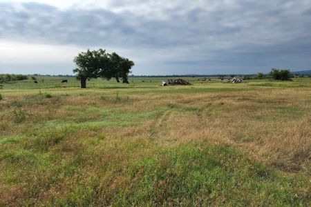 DreamKetchers Ranch