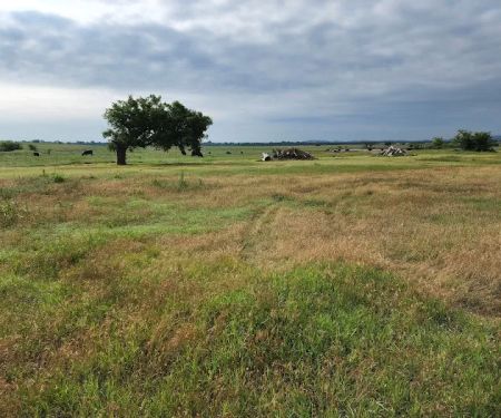 DreamKetchers Ranch