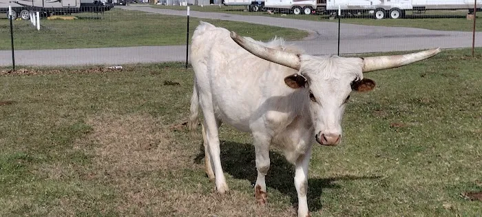 Red River Ranch Rv Resort 1