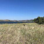 LETRA Campground and Picnic Area