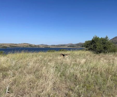 LETRA Campground and Picnic Area