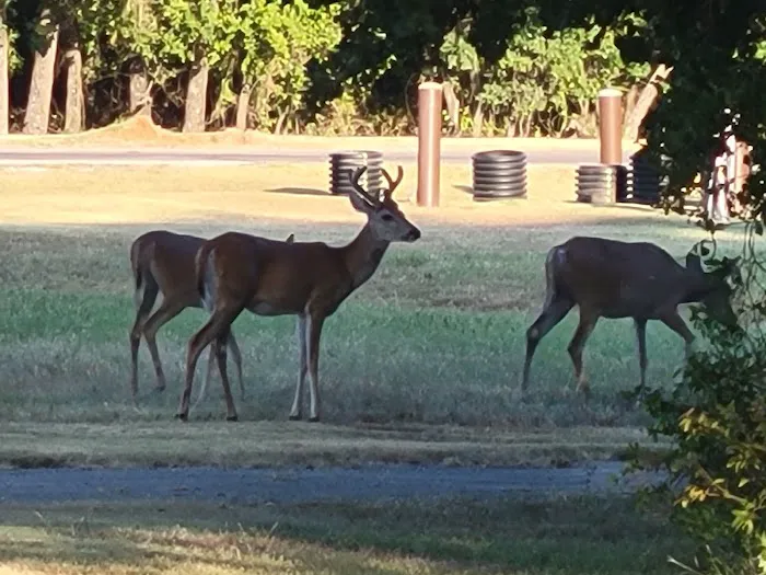 Hickory Creek Campground 8