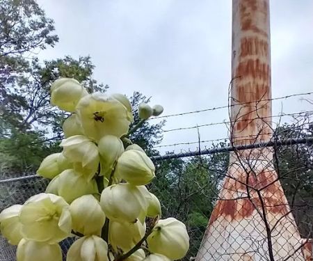 Hickory Creek Campground