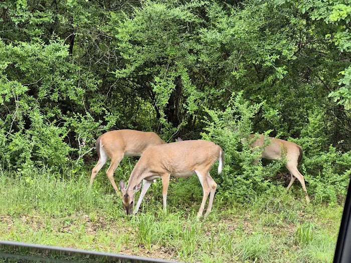 Hickory Creek Park 6