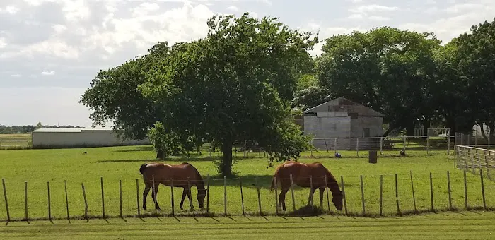 Lone Oak RV Park and Storage 5