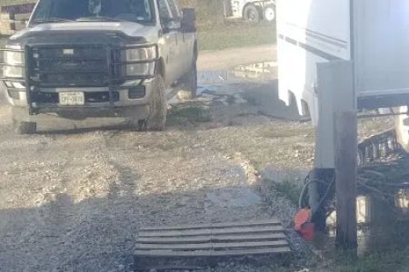 SingleTree RV
