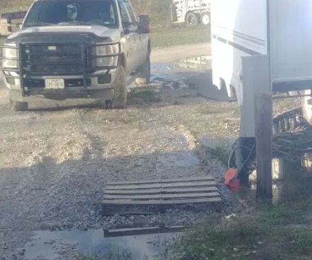 SingleTree RV