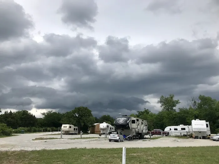 SingleTree RV 5
