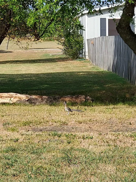 Bluebonnet Ridge RV Park 10