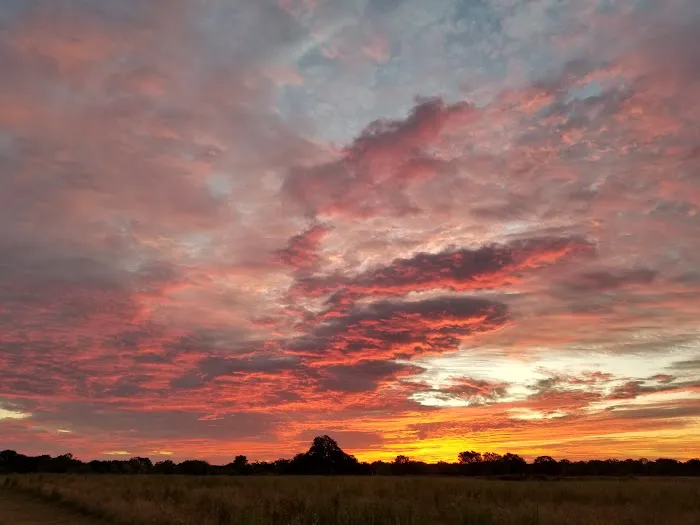 Lone Star RV Ranch 2