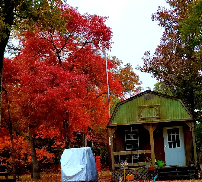 TX Log Cabin RV Park 5