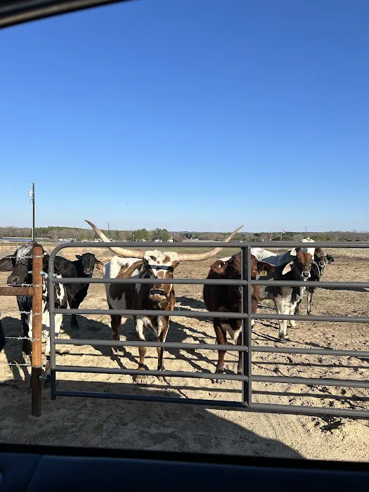 Cristville RV Ranch 3
