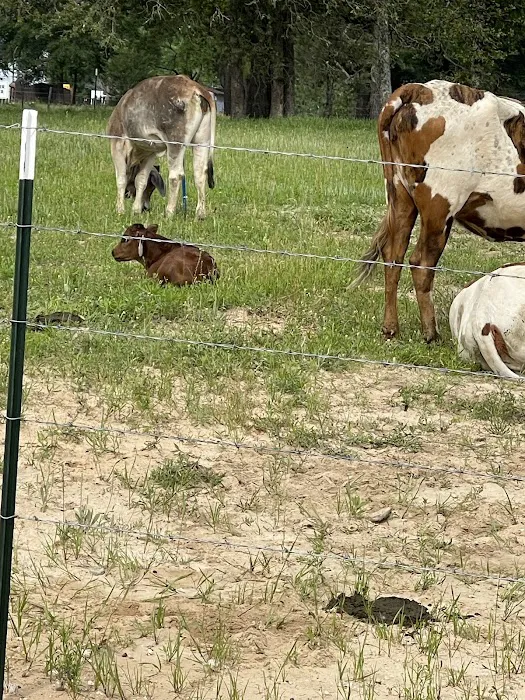 Cristville RV Ranch 5