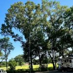 Los Pines Tiny Home & RV Community