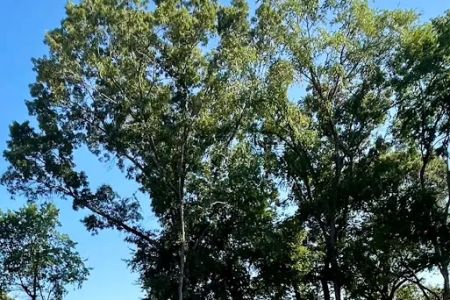 Los Pines Tiny Home & RV Community