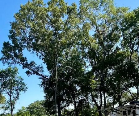 Los Pines Tiny Home & RV Community