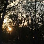 Rolling Oaks RV Park