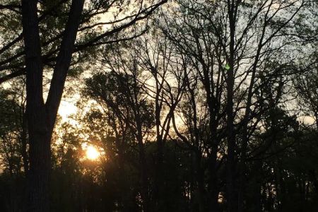 Rolling Oaks RV Park