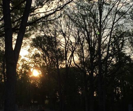 Rolling Oaks RV Park