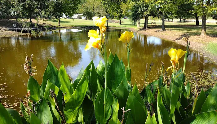 Canton Creek RV Park 6