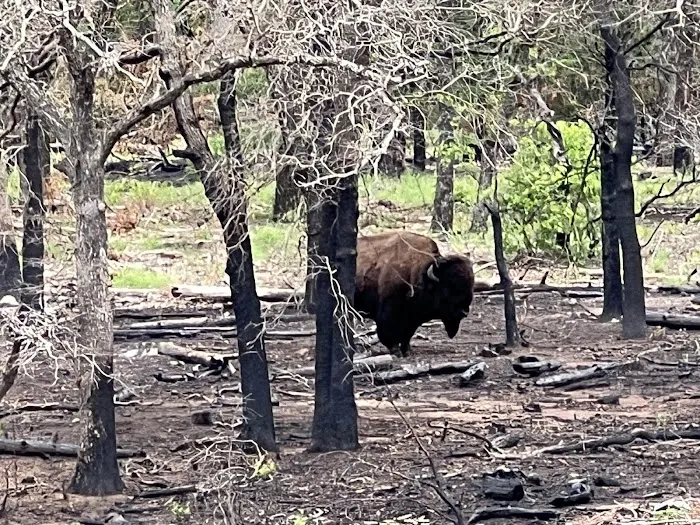Fawn Creek Campground 4