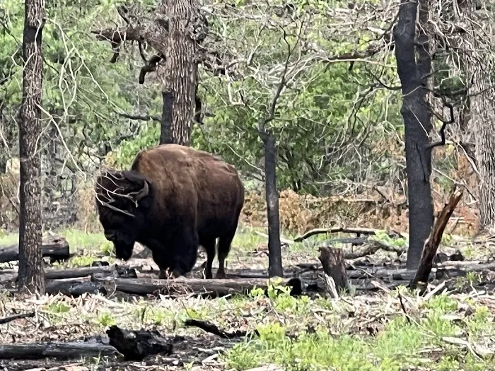 Fawn Creek Campground 5