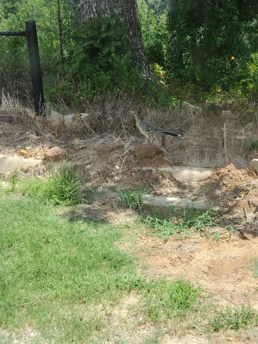 Lookout Mountain RV Park 4