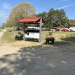 Lazy Acres R.V. Park