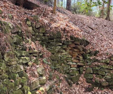 Boles Field Campground - Sabine National Forest