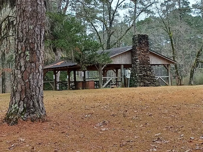 Boles Field Campground - Sabine National Forest 3