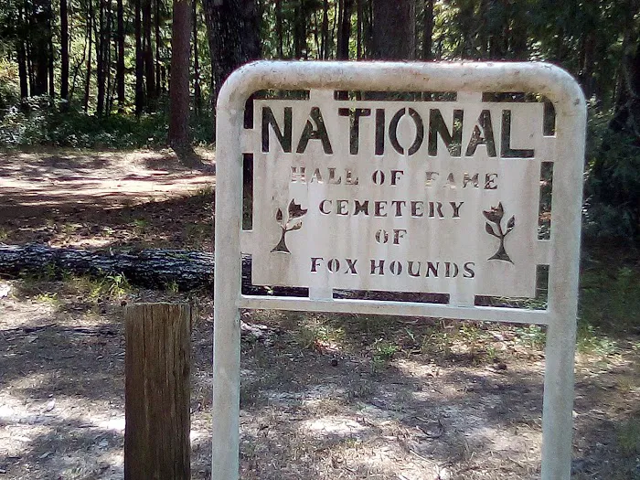 Boles Field Campground - Sabine National Forest 9