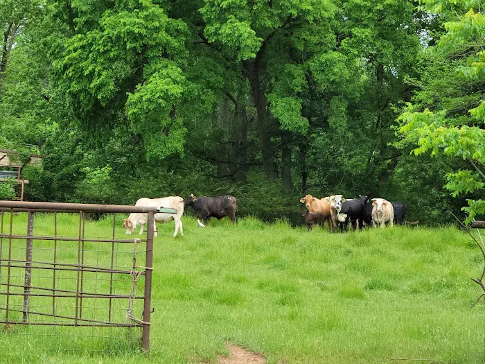 RED DIRT RETREAT- RV & Campground (formerly Twin Oaks RV Park) 10