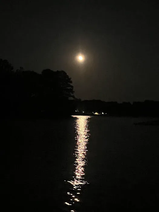 Converse Bay RV Park 6