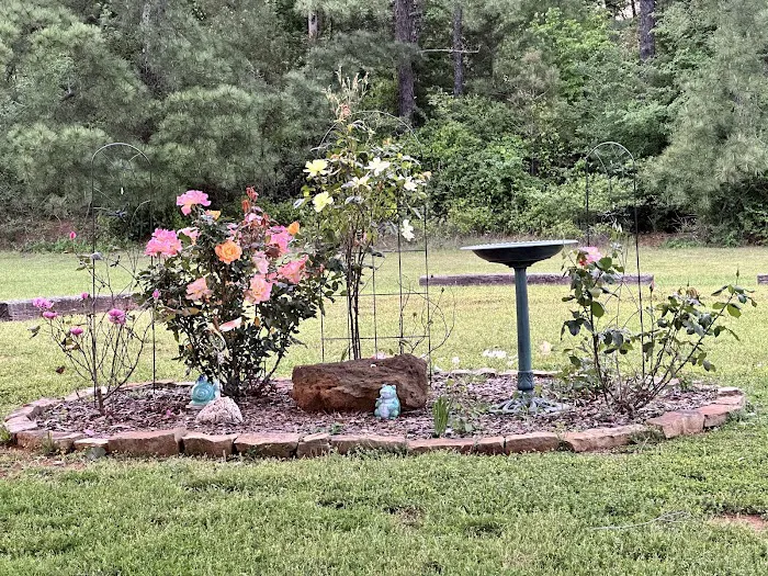 Western Pines RV Park 8