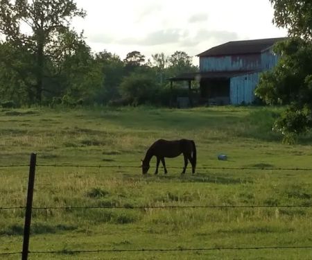 US Forestry Department