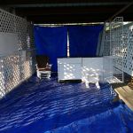 Bonnie & Clyde Trade Days & RV Park