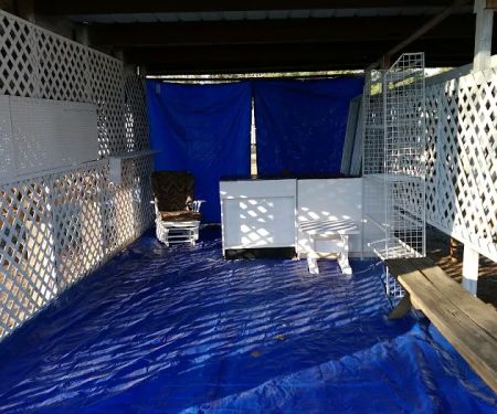 Bonnie & Clyde Trade Days & RV Park