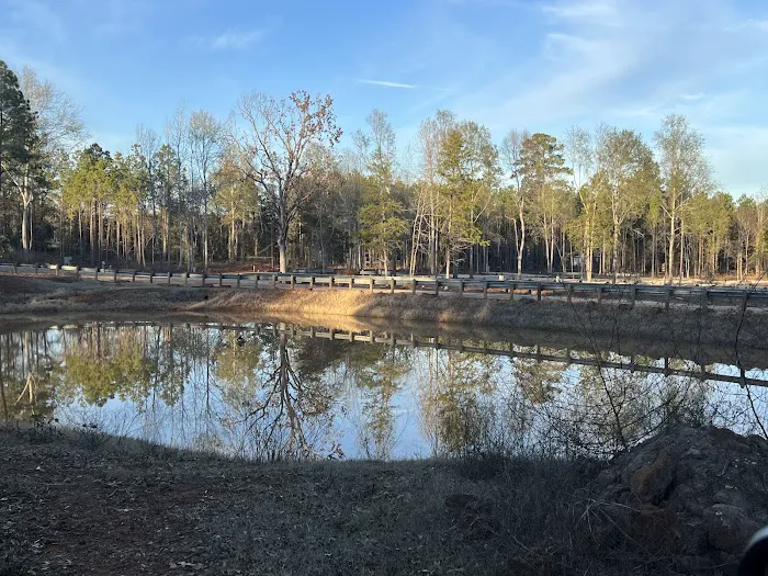 Shady Pines RV Park 10
