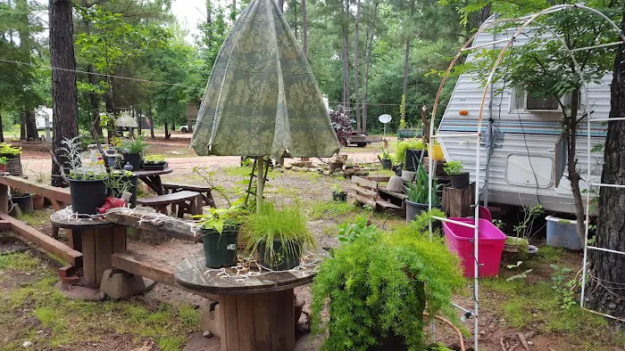 Shady Pines RV Park 6