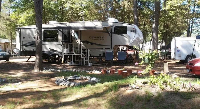 Shady Pines RV Park 3