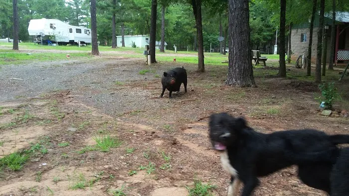 Shady Pines RV Park 2