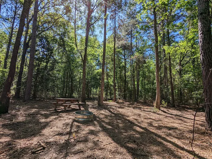 Evergreen Camping Adventures 4