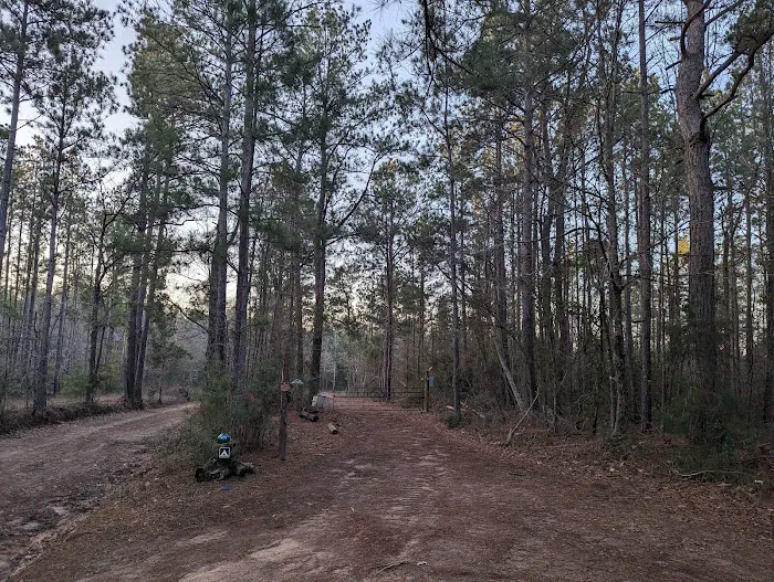 Evergreen Camping Adventures 3