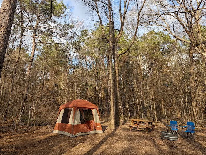 Evergreen Camping Adventures 1