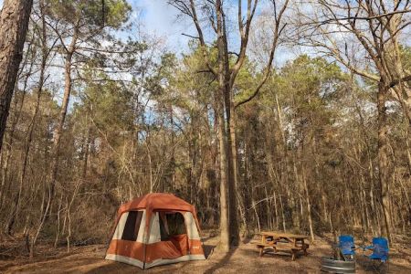 Evergreen Camping Adventures