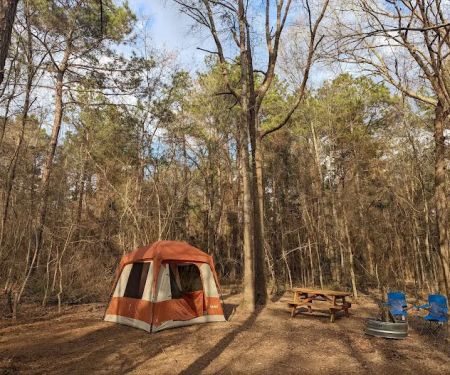 Evergreen Camping Adventures