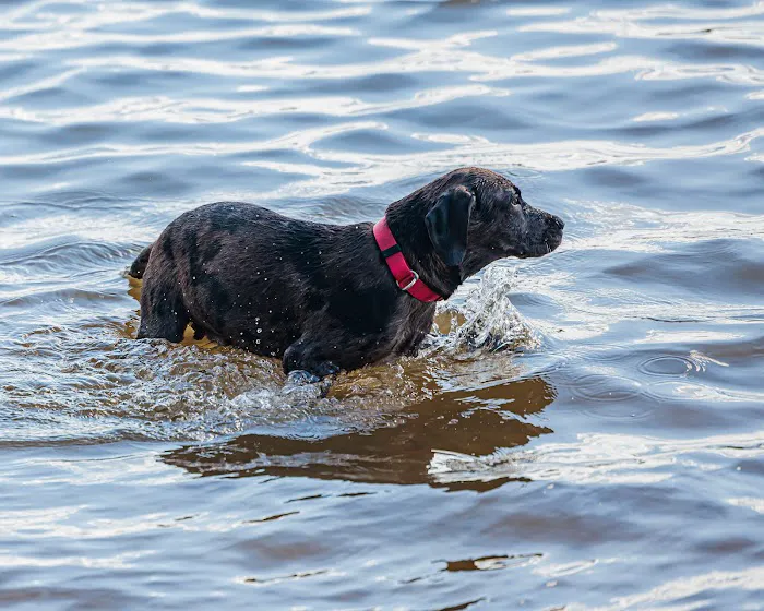 Lake Jacksonville Park 5