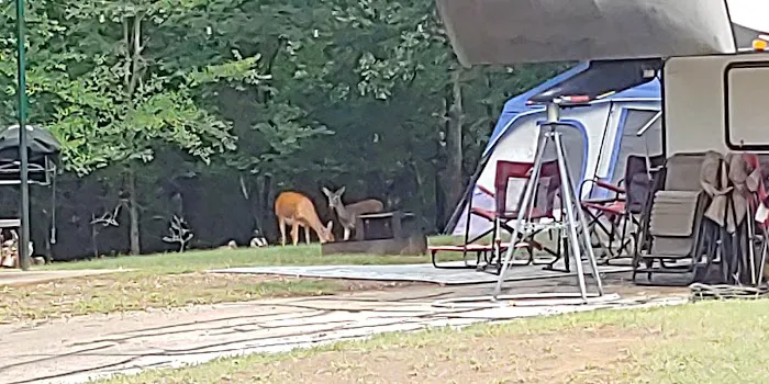 Hickory Creek COE Campground 5