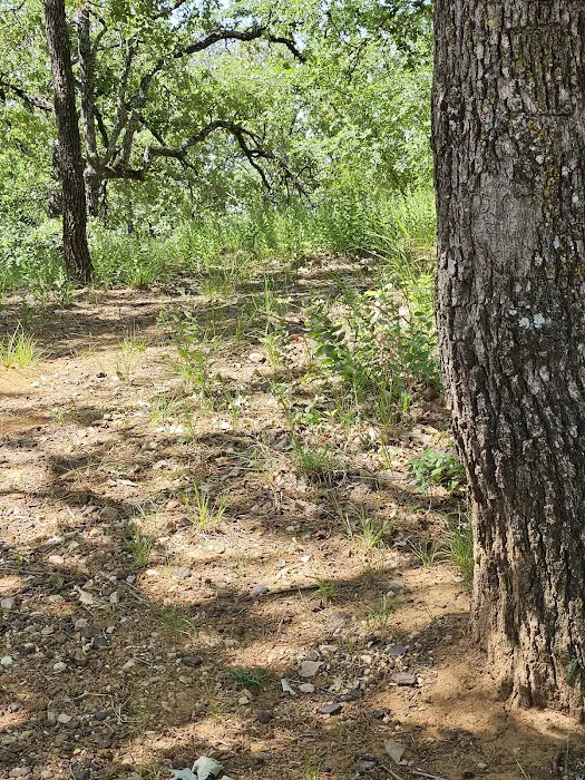 Hickory Creek COE Campground 6